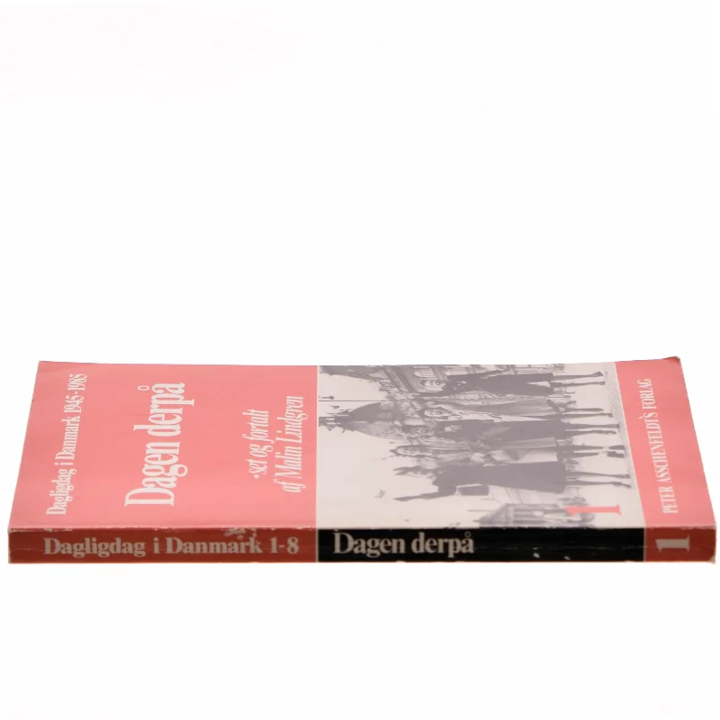 Dagen derpå af Malin Lindgren (Bog)