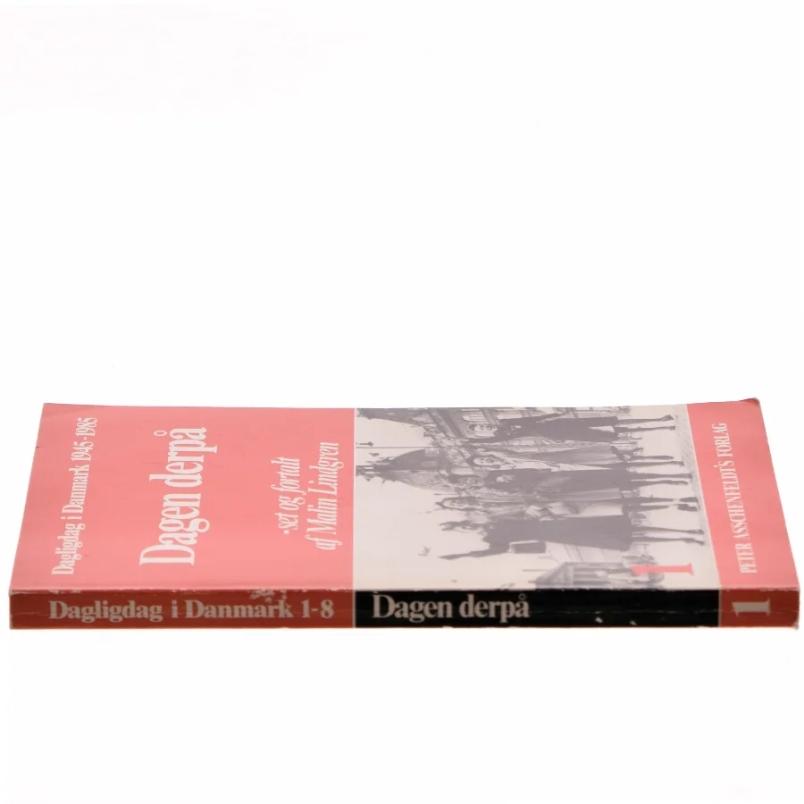 Dagen derpå af Malin Lindgren (Bog)