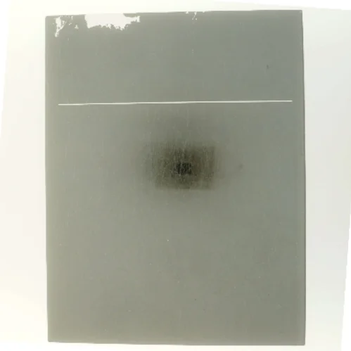 Videnskabens Verden: Mennesket af <Bog ikke tilgængelig> (Bog)