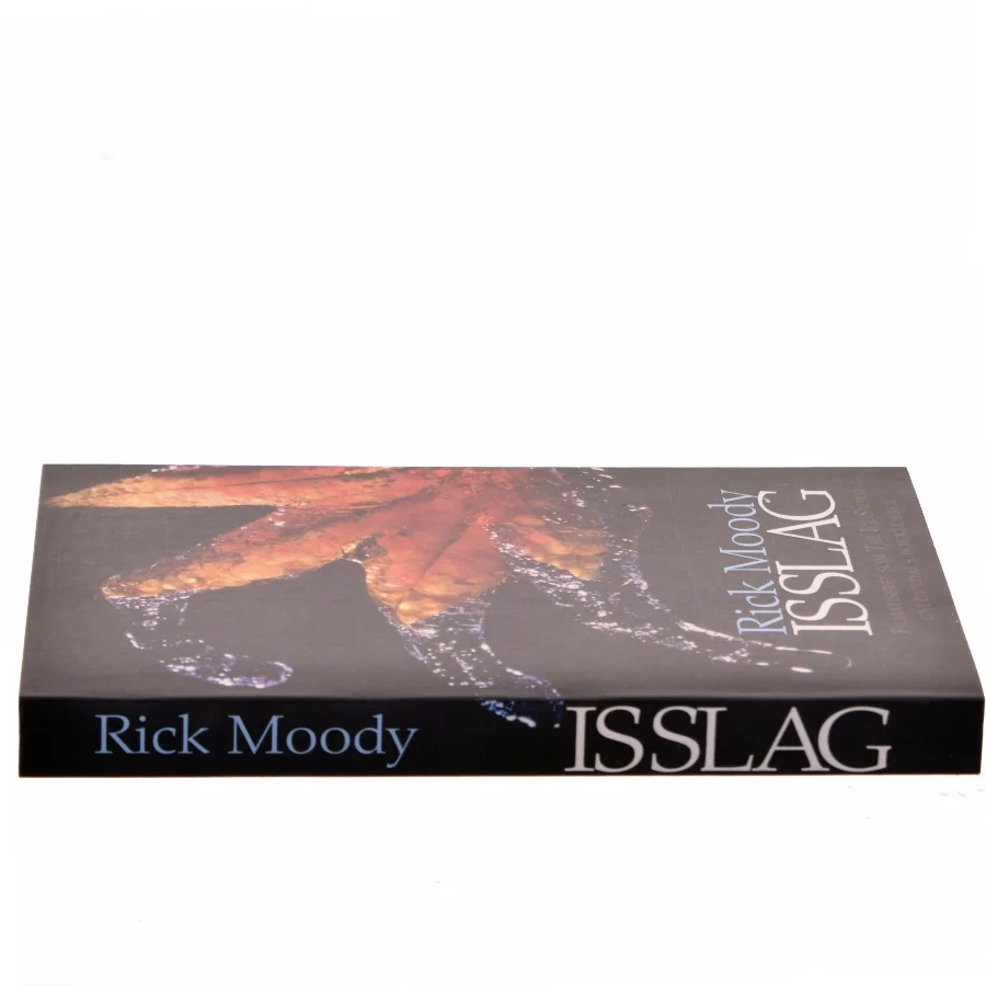 Isslag af Rick Moody (Bog)
