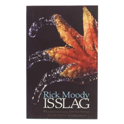 Isslag af Rick Moody (Bog)