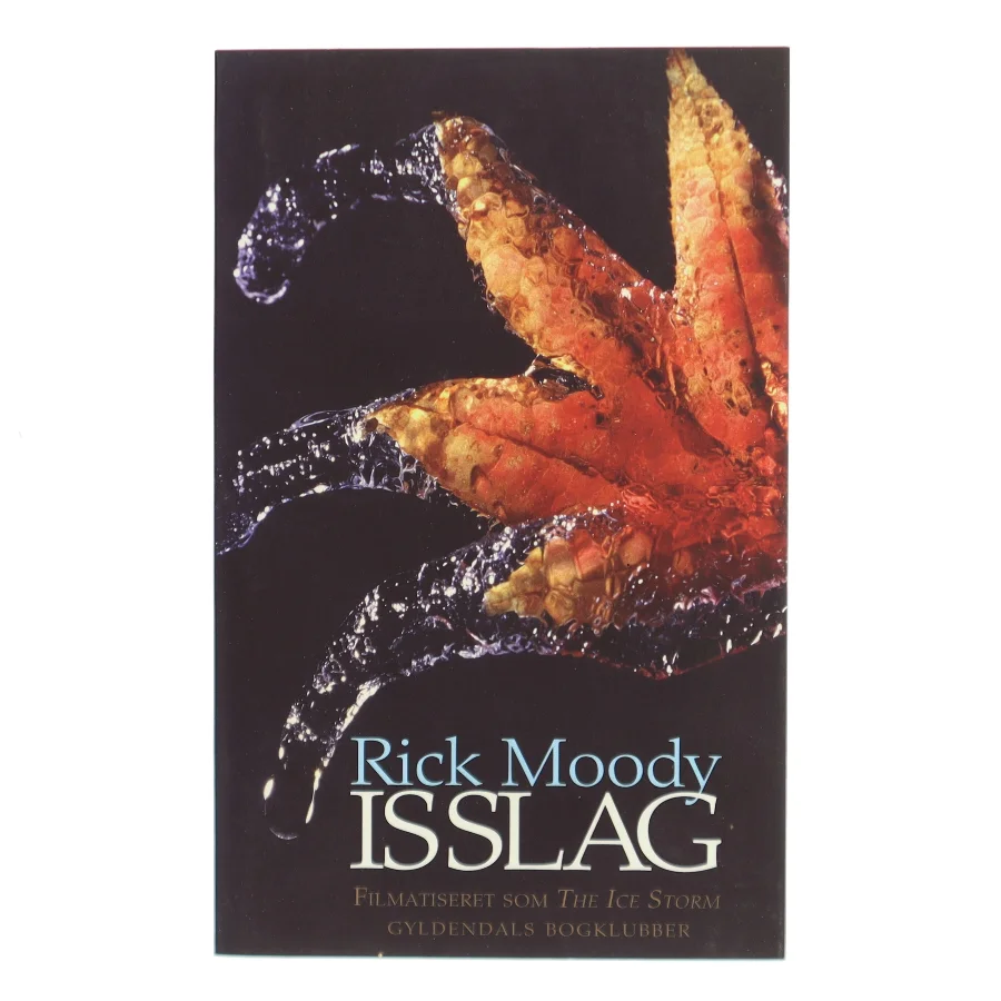 Isslag af Rick Moody (Bog)