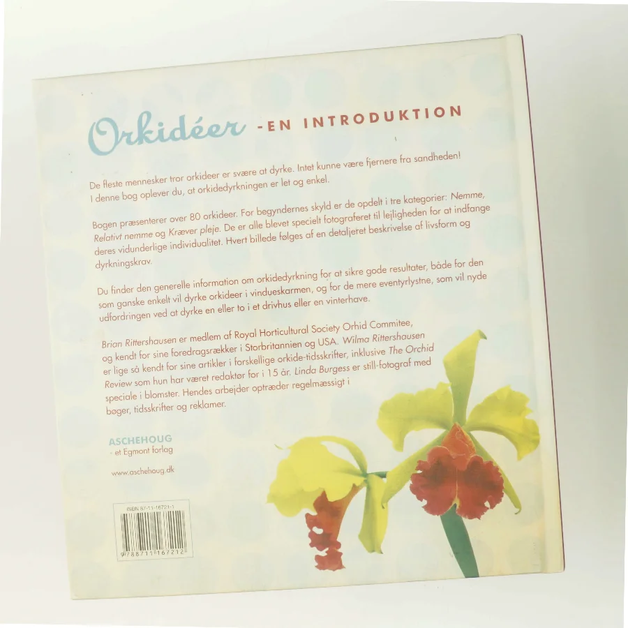 Orkideer : en introduktion af Wilma & Brian Rittershausen (Bog)