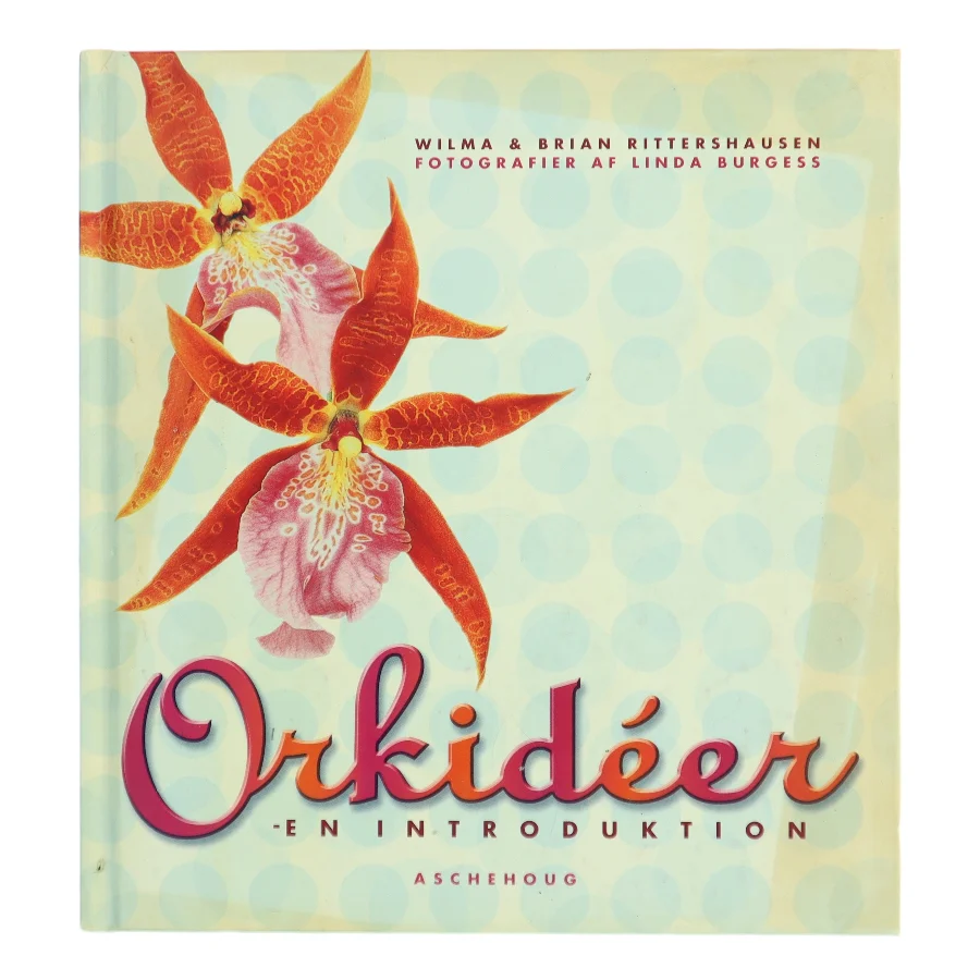 Orkideer : en introduktion af Wilma & Brian Rittershausen (Bog)