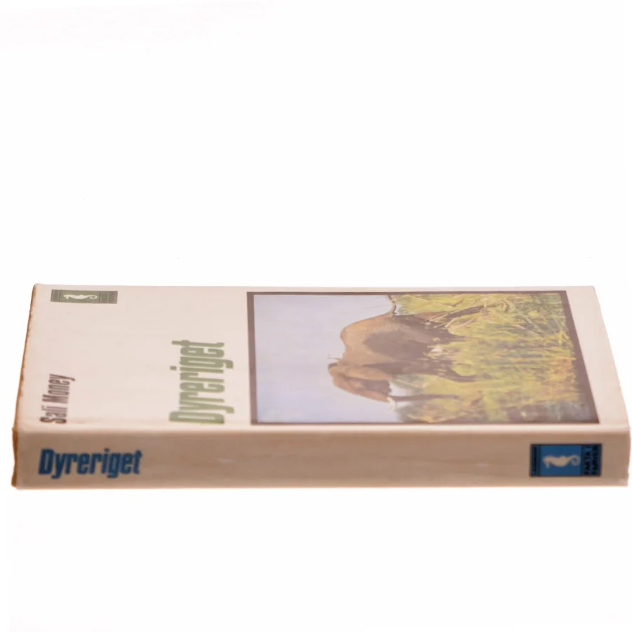 Dyreriget af Sali Money (Bog)