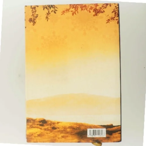 Under En Strålende Sol af Khaled Hosseini (Bog)