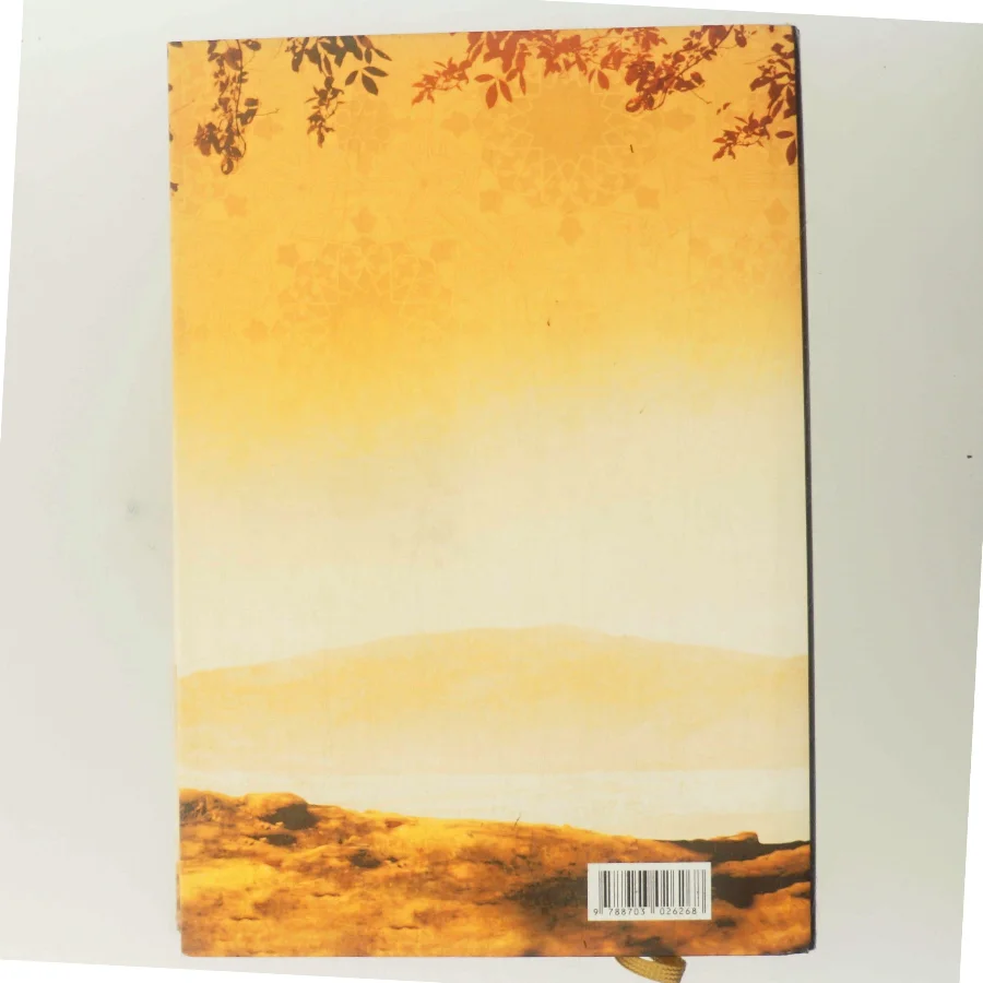 Under En Strålende Sol af Khaled Hosseini (Bog)