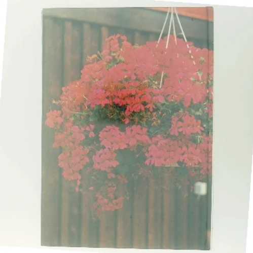 Sommerblomster af <Bogens forfattere> (Bog)