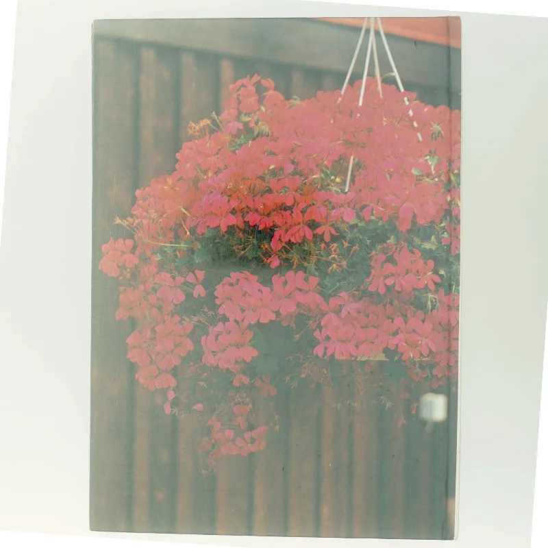 Sommerblomster af <Bogens forfattere> (Bog)