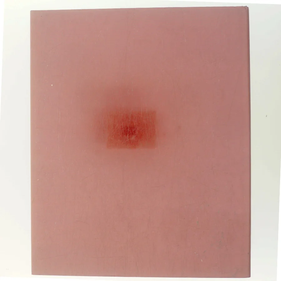 Dansk kunst 94 af <Udfyld bogens forfattere> (Bog)