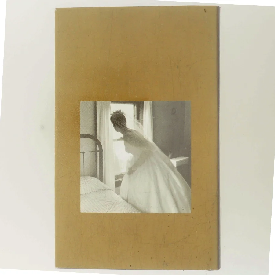 Før du sover af Linn Ullmann (Bog)