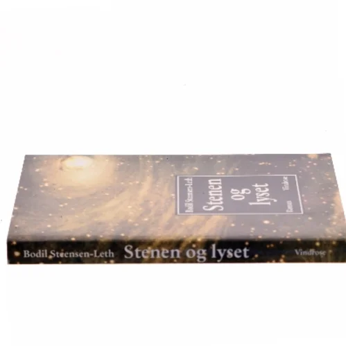 Stenen og lyset : roman af Bodil Steensen-Leth (Bog)