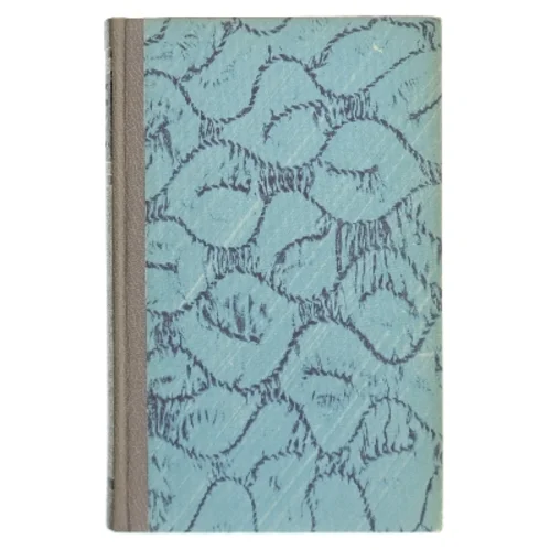 Orkanen af Desmond Bagley (Bog)