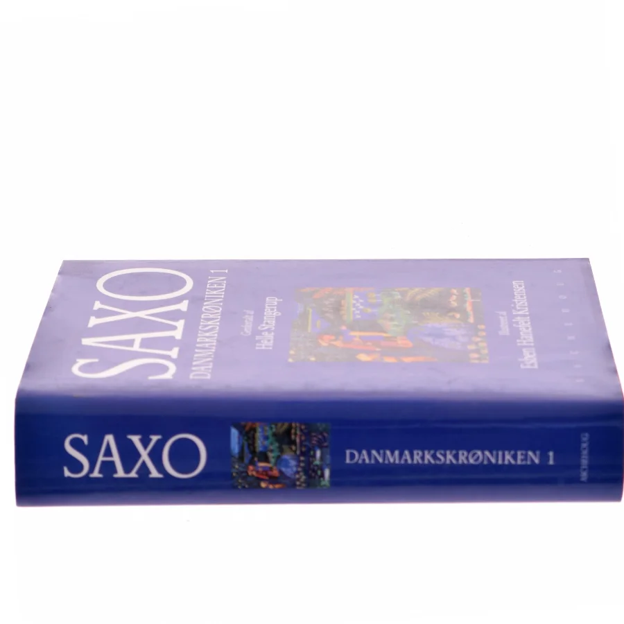 Danmarkskrøniken af Helle Stangerup (Bog)