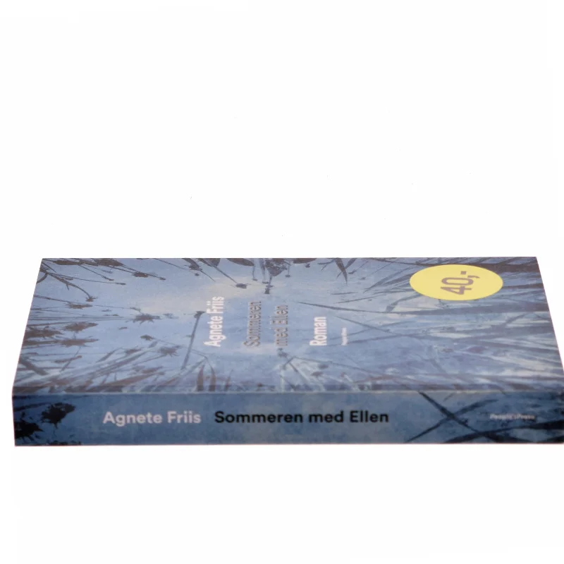 Sommeren med Ellen : roman af Agnete Friis (Bog)