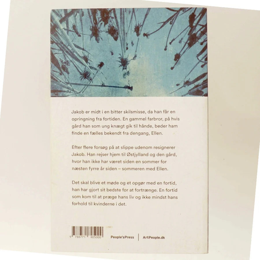 Sommeren med Ellen : roman af Agnete Friis (Bog)