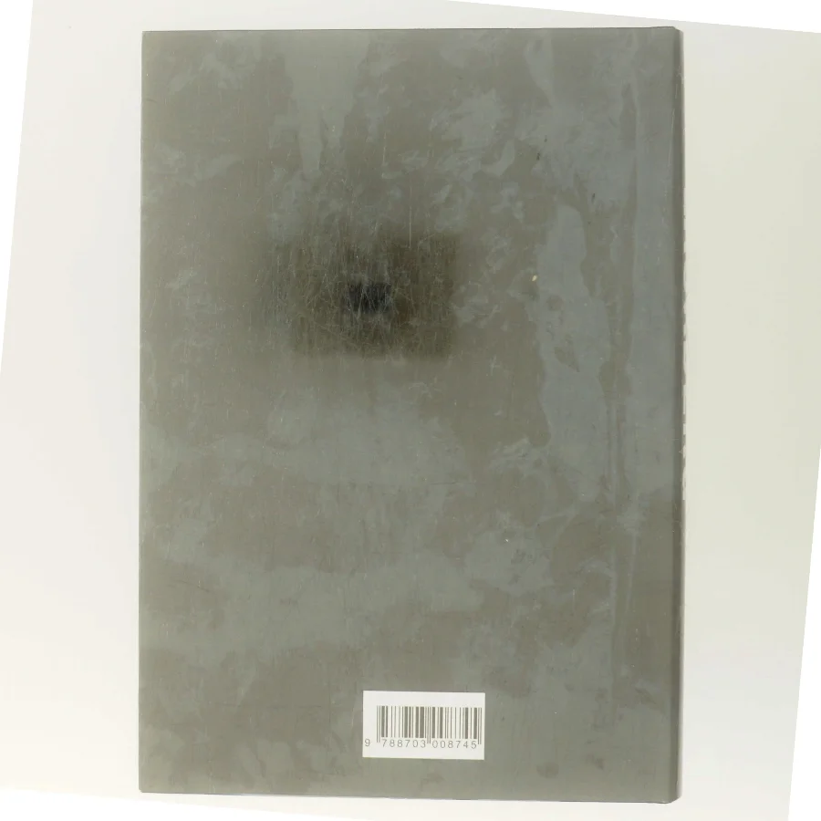 Isprinsessen : kriminalroman af Camilla Läckberg (Bog)