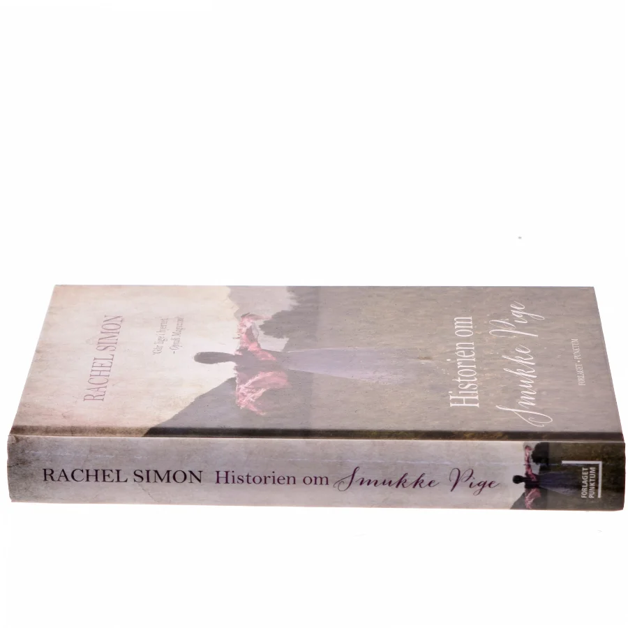 Historien om smukke pige af Rachel Simon (Bog)