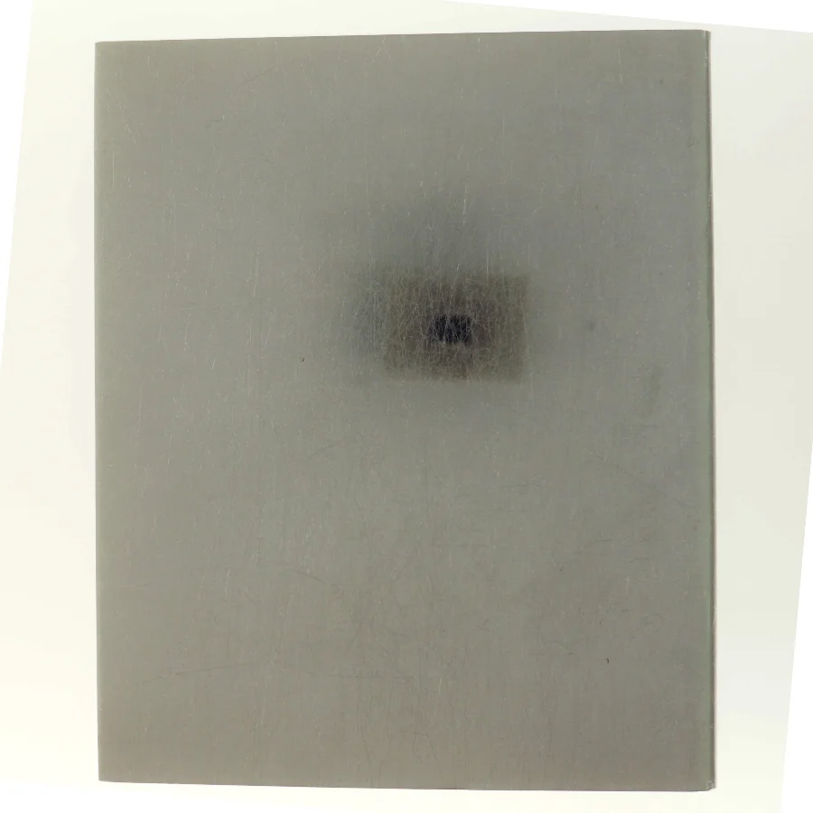Dansk kunst 89 (Bog)