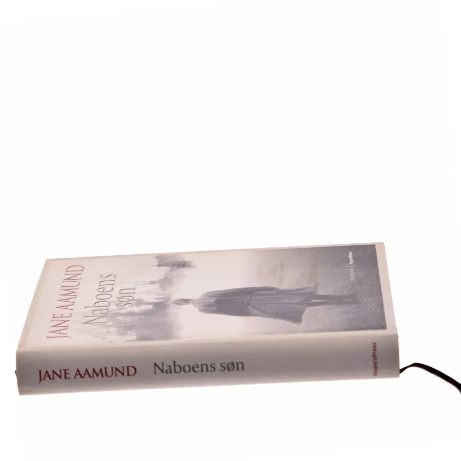 Naboens søn : roman af Jane Aamund (Bog)
