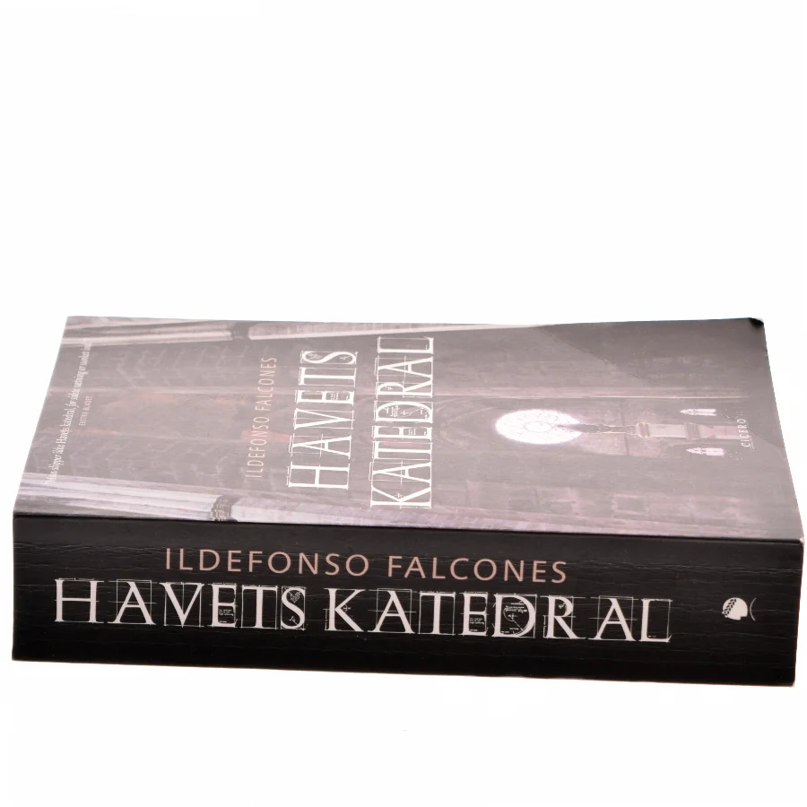 Havets katedral af Ildefonso Falcones (Bog)