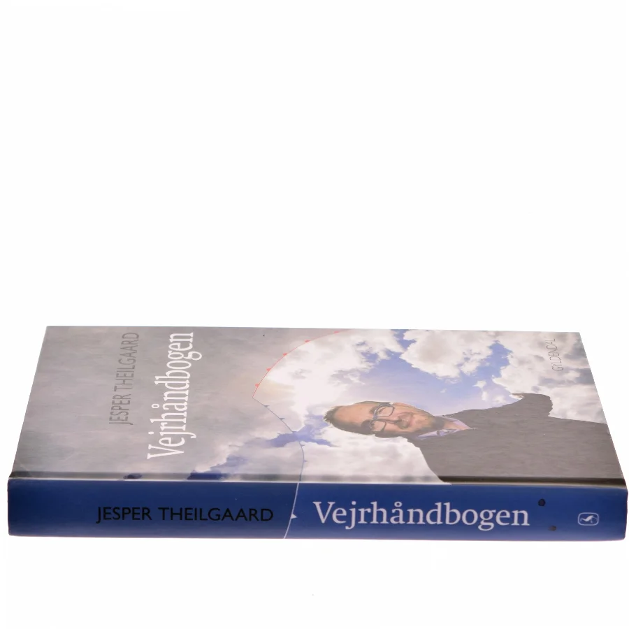 Vejrhåndbogen af Jesper Theilgaard (Bog)