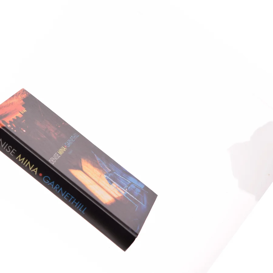 Garnethill af Denise Mina (Bog)