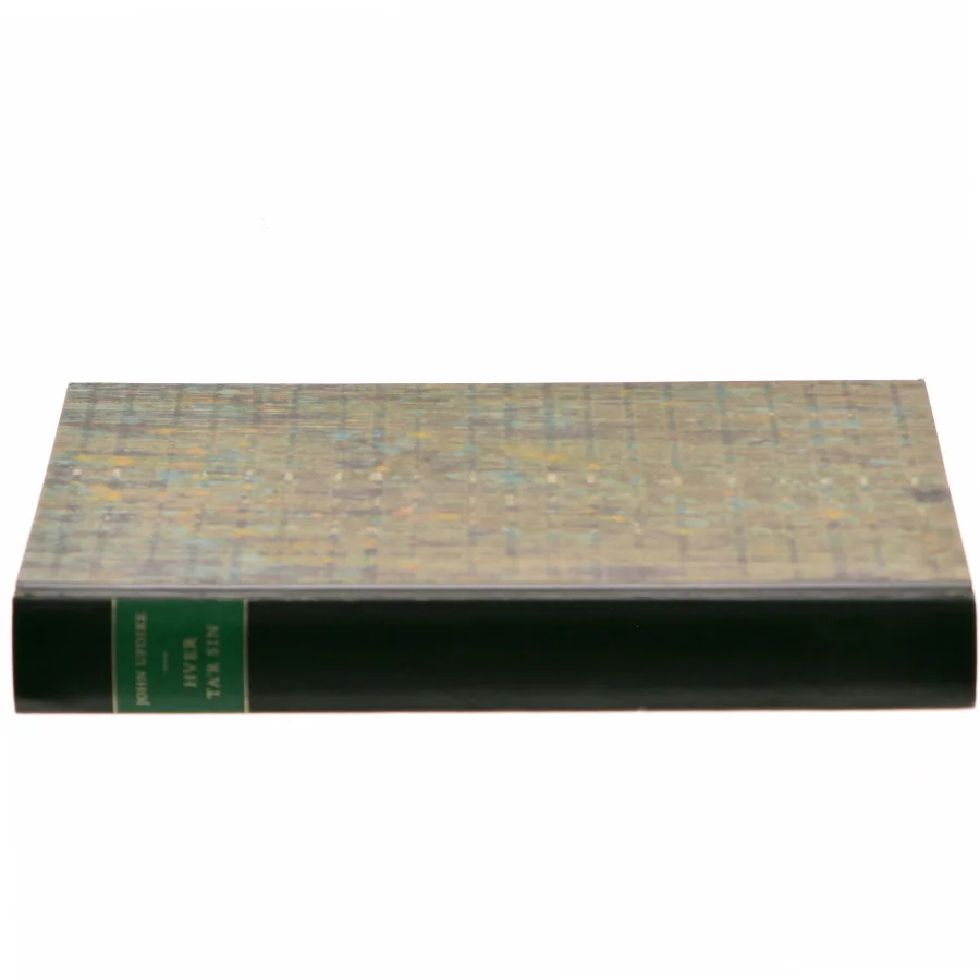 I Vek nivet tar sin af John Updike (Bog)