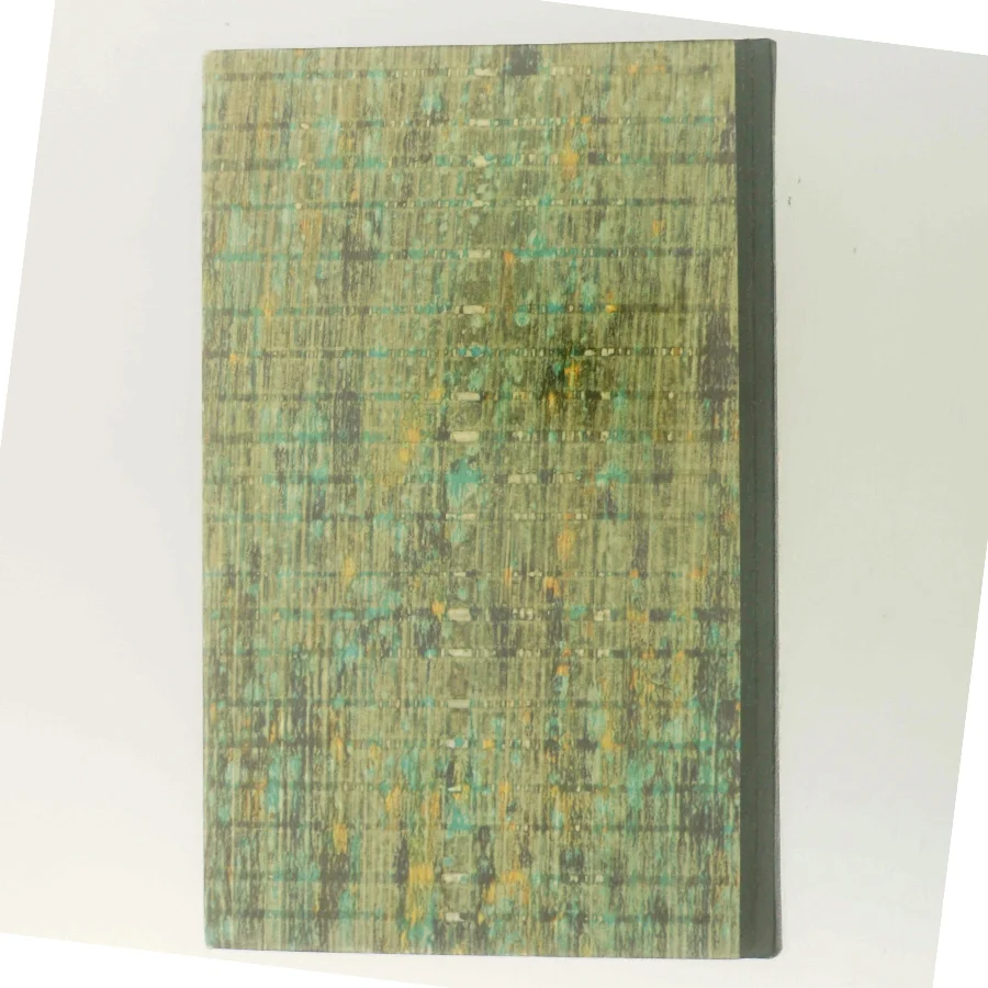 I Vek nivet tar sin af John Updike (Bog)