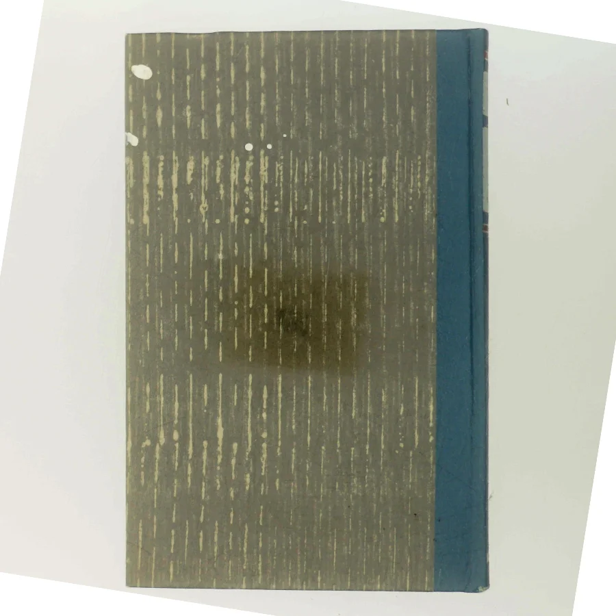 From Aristotle to Mathematics af Adam Revesz (Bog)