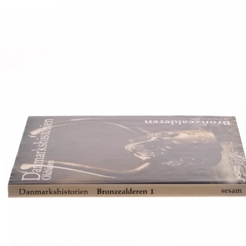 Danmarkshistorien: Oldtiden af Jørgen Jensen (Bog)