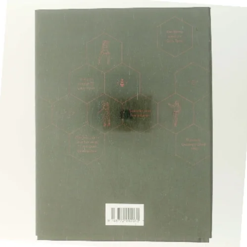 Beyoncégrafika : en grafisk biografi om Beyoncé af Chris Roberts (Bog)