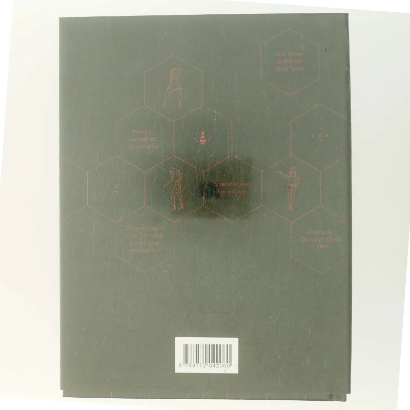 Beyoncégrafika : en grafisk biografi om Beyoncé af Chris Roberts (Bog)