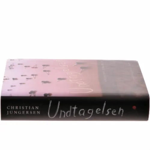 Undtagelsen : roman af Christian Jungersen (Bog)