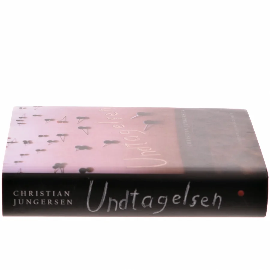 Undtagelsen : roman af Christian Jungersen (Bog)