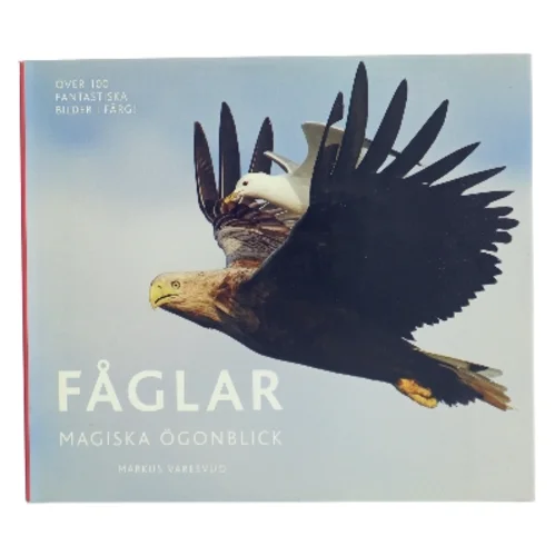 Fåglar af Markus Varesvuo (Bog)