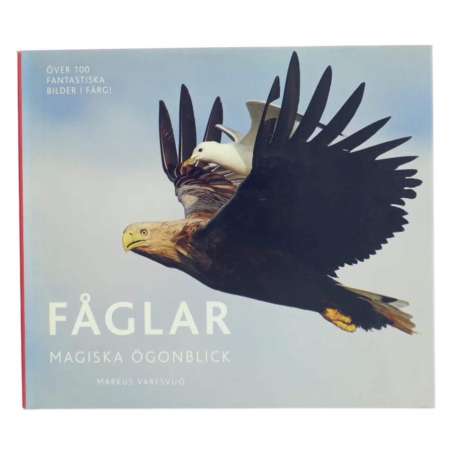 Fåglar af Markus Varesvuo (Bog)