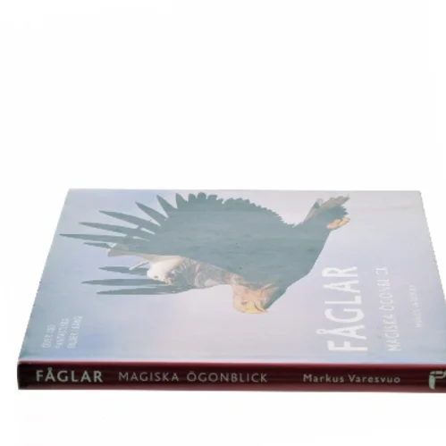 Fåglar af Markus Varesvuo (Bog)