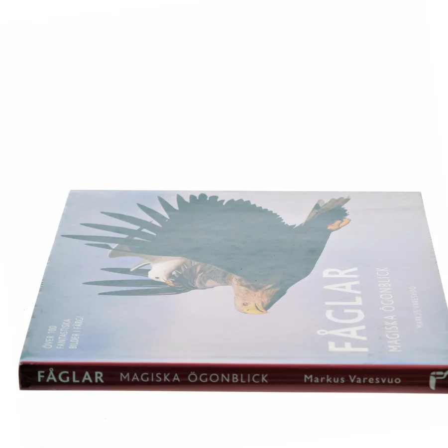 Fåglar af Markus Varesvuo (Bog)