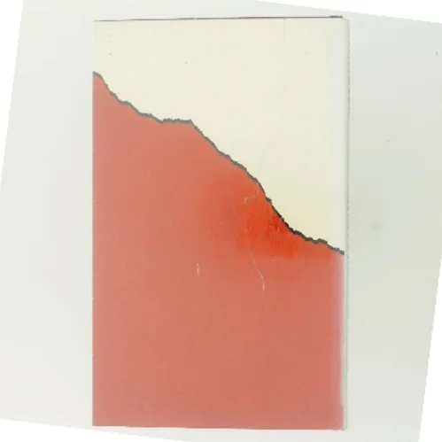 Den serbiske dansker af Leif Davidsen (Bog)