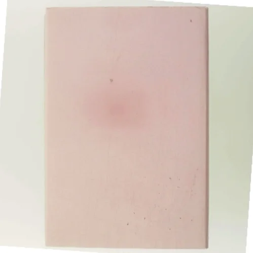 Désirée af Annemarie Selinko (Bog)