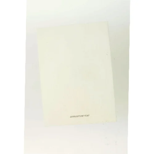 Anton Hansen af Hanne Abildgaard (Bog)