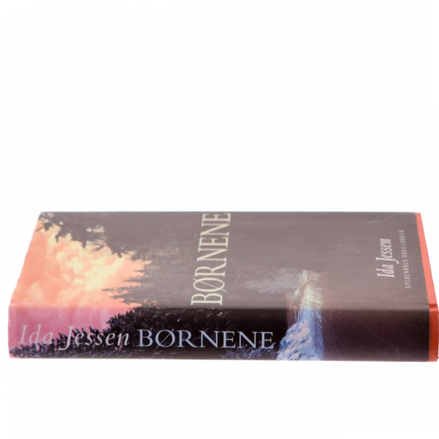 Børnene af Ida Jessen (Bog)