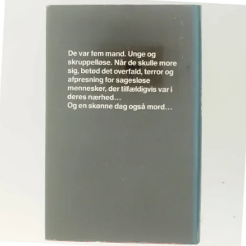 Terror af Torben Nielsen (Bog)