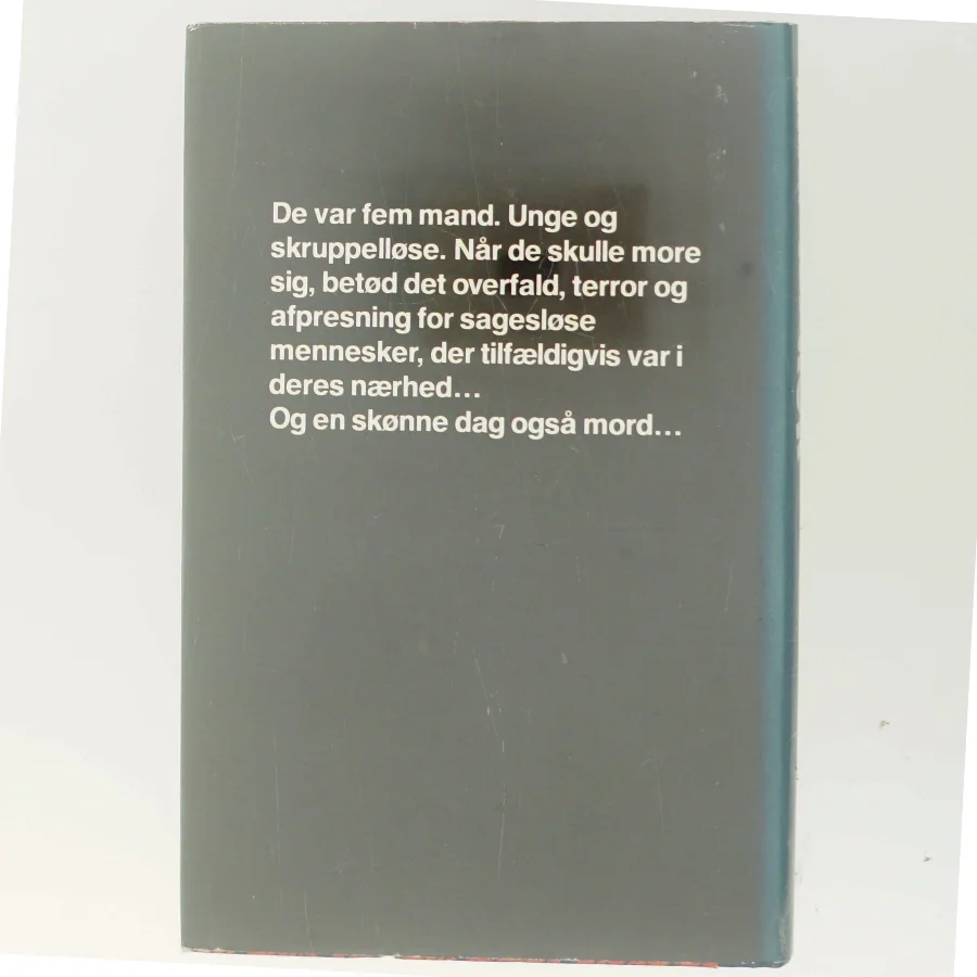 Terror af Torben Nielsen (Bog)