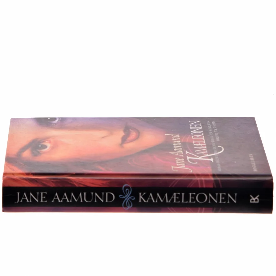 Kamæleonen af Jane Aamund (Bog)