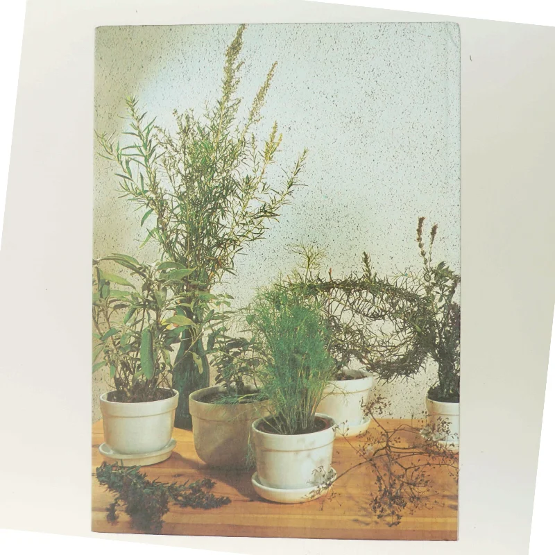 Alt om stueplanter: Krydderurter af <Bogens forfattere> (Bog)