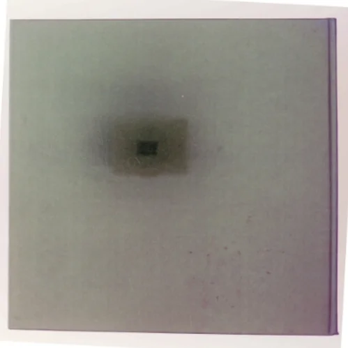 Cranks Grønne Menubog (Bog)