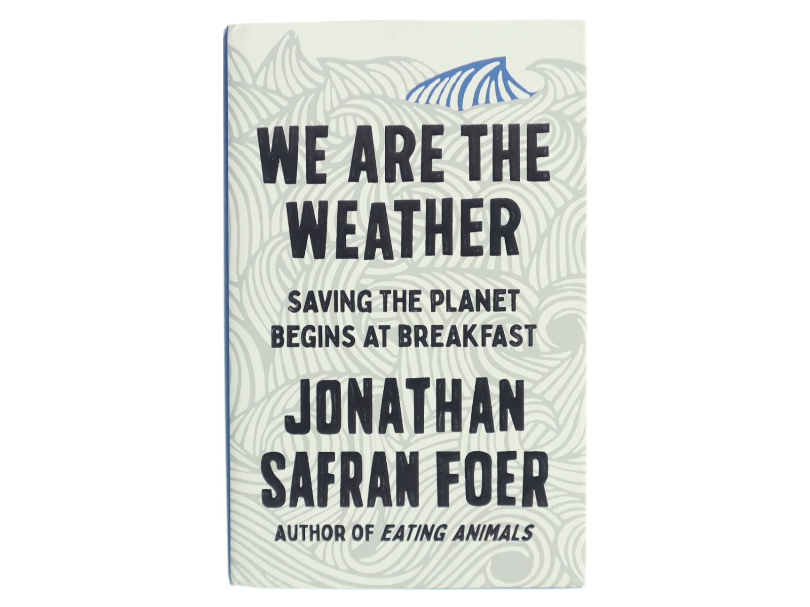 We are the weather : saving the planet begins at breakfast af Jonathan Safran Foer (Bog)