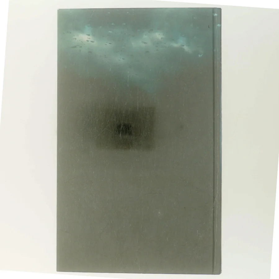 Passageren af Steffen Jacobsen (Bog)